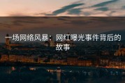 一场网络风暴：网红曝光事件背后的故事