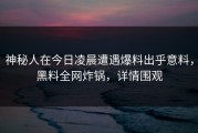 神秘人在今日凌晨遭遇爆料出乎意料，黑料全网炸锅，详情围观