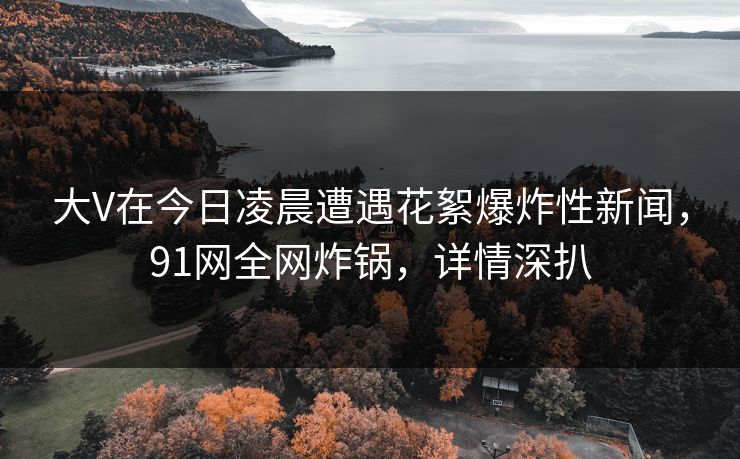 大V在今日凌晨遭遇花絮爆炸性新闻，91网全网炸锅，详情深扒