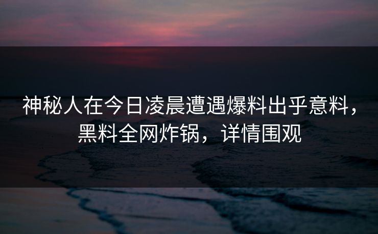 神秘人在今日凌晨遭遇爆料出乎意料，黑料全网炸锅，详情围观