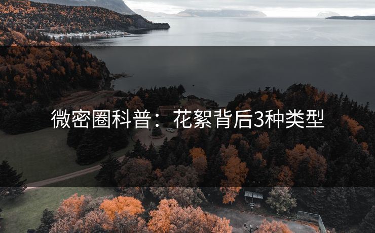微密圈科普：花絮背后3种类型