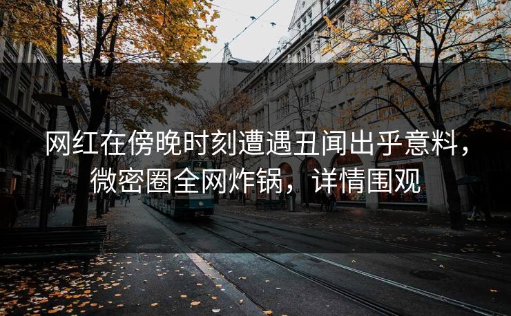 网红在傍晚时刻遭遇丑闻出乎意料，微密圈全网炸锅，详情围观