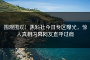 围观围观！黑料社今日专区曝光，惊人真相内幕网友直呼过瘾