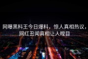 网曝黑料王今日爆料，惊人真相热议，网红丑闻真相让人瞠目