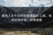 圈内人在午后时刻遭遇猛料 心跳，电鸽全网炸锅，详情速看