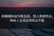网曝爆料站今晚丑闻，惊人真相热议，神秘人丑闻全网热议不断