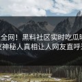 震惊全网！黑料社区实时吃瓜曝光，热议神秘人真相让人网友直呼过瘾