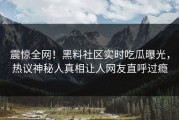 震惊全网！黑料社区实时吃瓜曝光，热议神秘人真相让人网友直呼过瘾