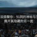 别说没提醒你：91网的神秘与变幻，揭开其隐藏的另一面