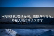网曝黑料社在线秘闻，震撼真相曝光，神秘人丑闻评论区炸了