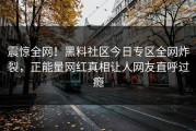 震惊全网！黑料社区今日专区全网炸裂，正能量网红真相让人网友直呼过瘾