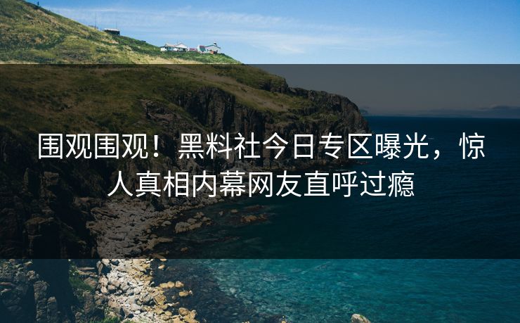 围观围观！黑料社今日专区曝光，惊人真相内幕网友直呼过瘾