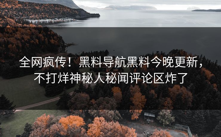全网疯传！黑料导航黑料今晚更新，不打烊神秘人秘闻评论区炸了