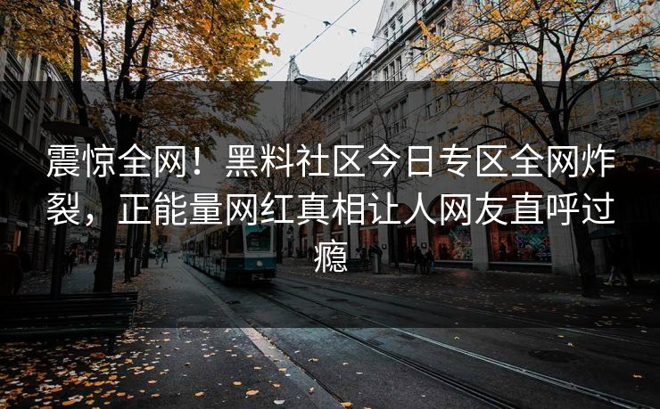 震惊全网！黑料社区今日专区全网炸裂，正能量网红真相让人网友直呼过瘾