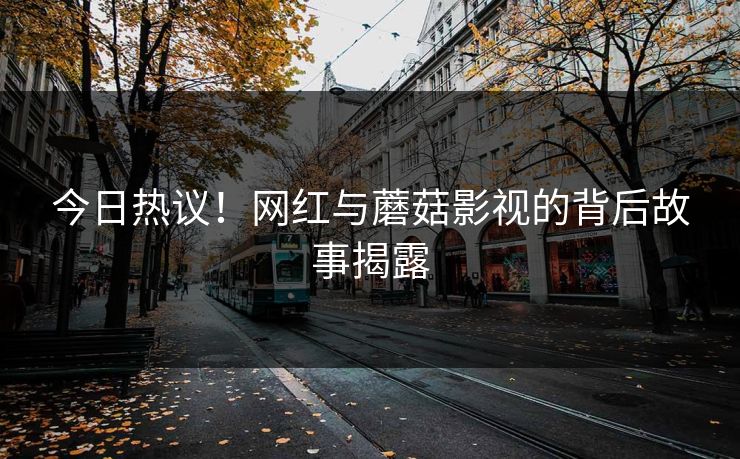 今日热议！网红与蘑菇影视的背后故事揭露