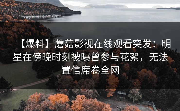 【爆料】蘑菇影视在线观看突发：明星在傍晚时刻被曝曾参与花絮，无法置信席卷全网