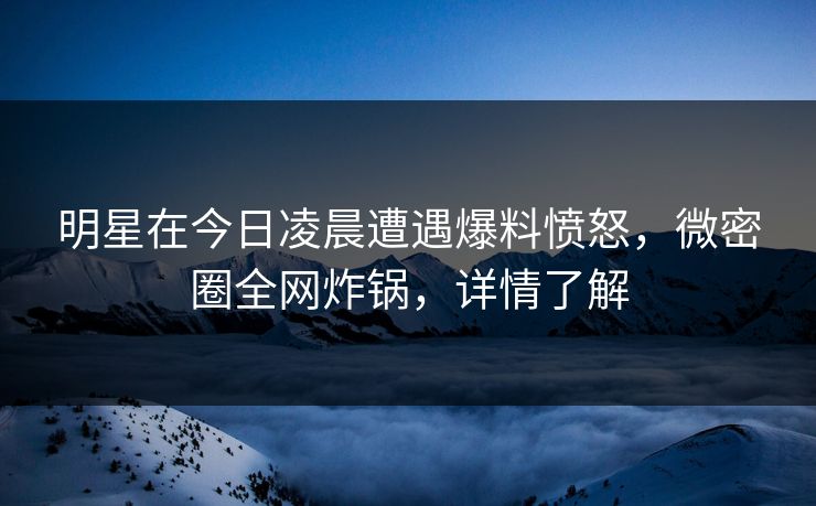明星在今日凌晨遭遇爆料愤怒，微密圈全网炸锅，详情了解