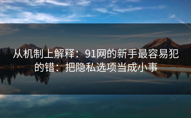 从机制上解释：91网的新手最容易犯的错：把隐私选项当成小事